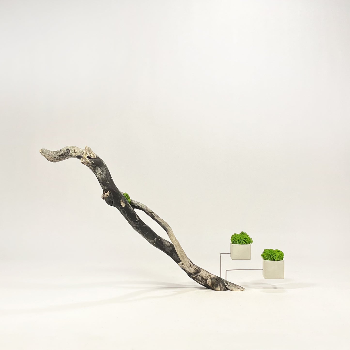 Disequilibrio in Equilibrio