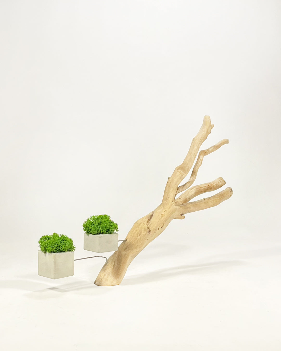 Disequilibrio in Equilibrio