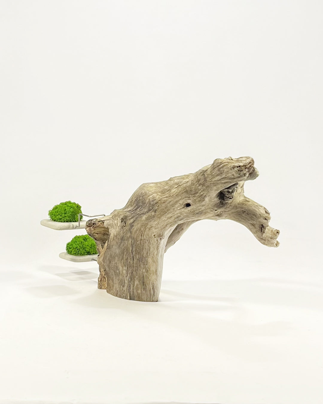 Disequilibrio in Equilibrio