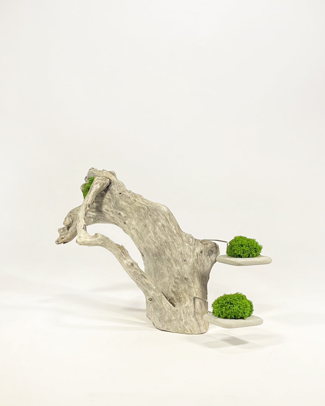 Disequilibrio in Equilibrio