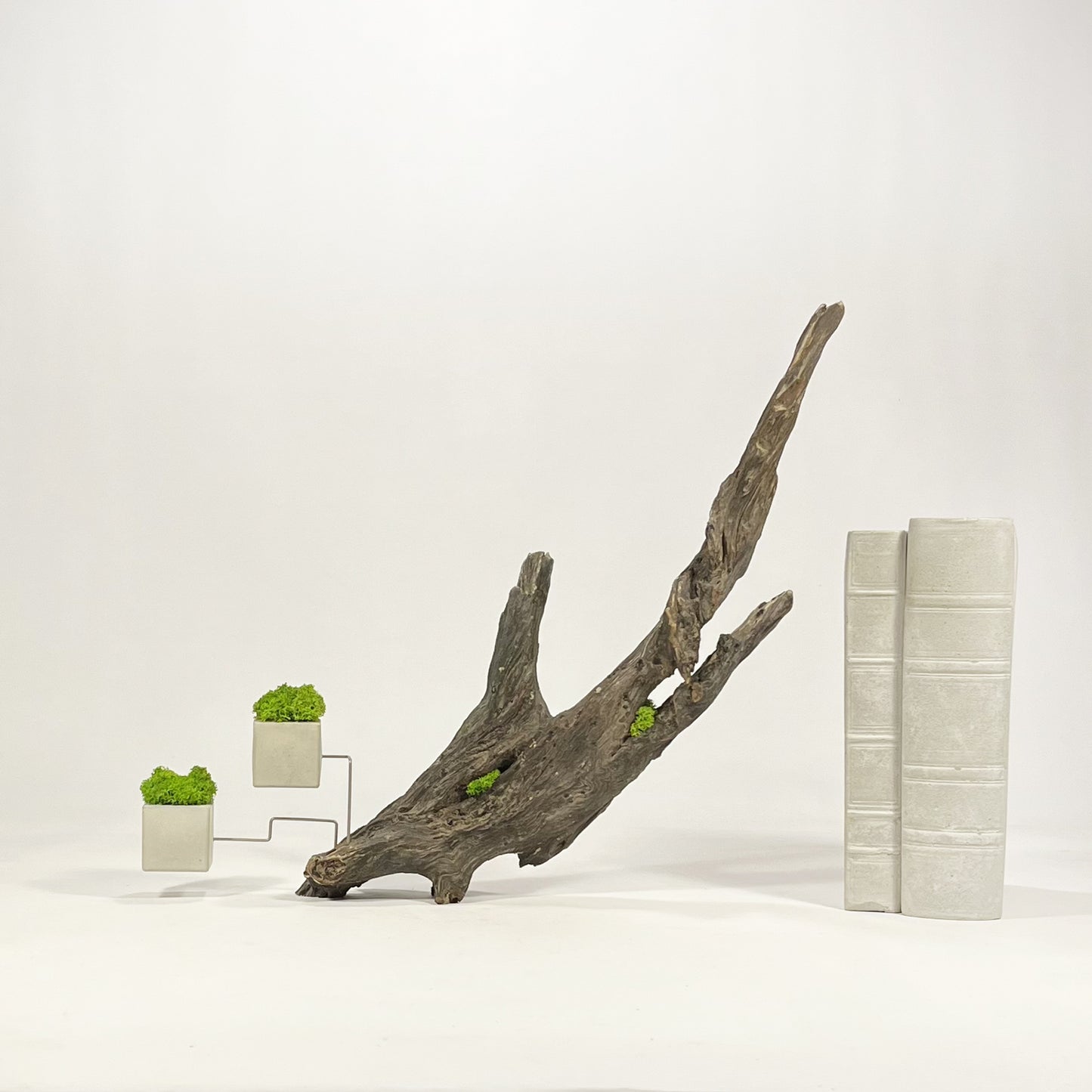 Disequilibrio in Equilibrio