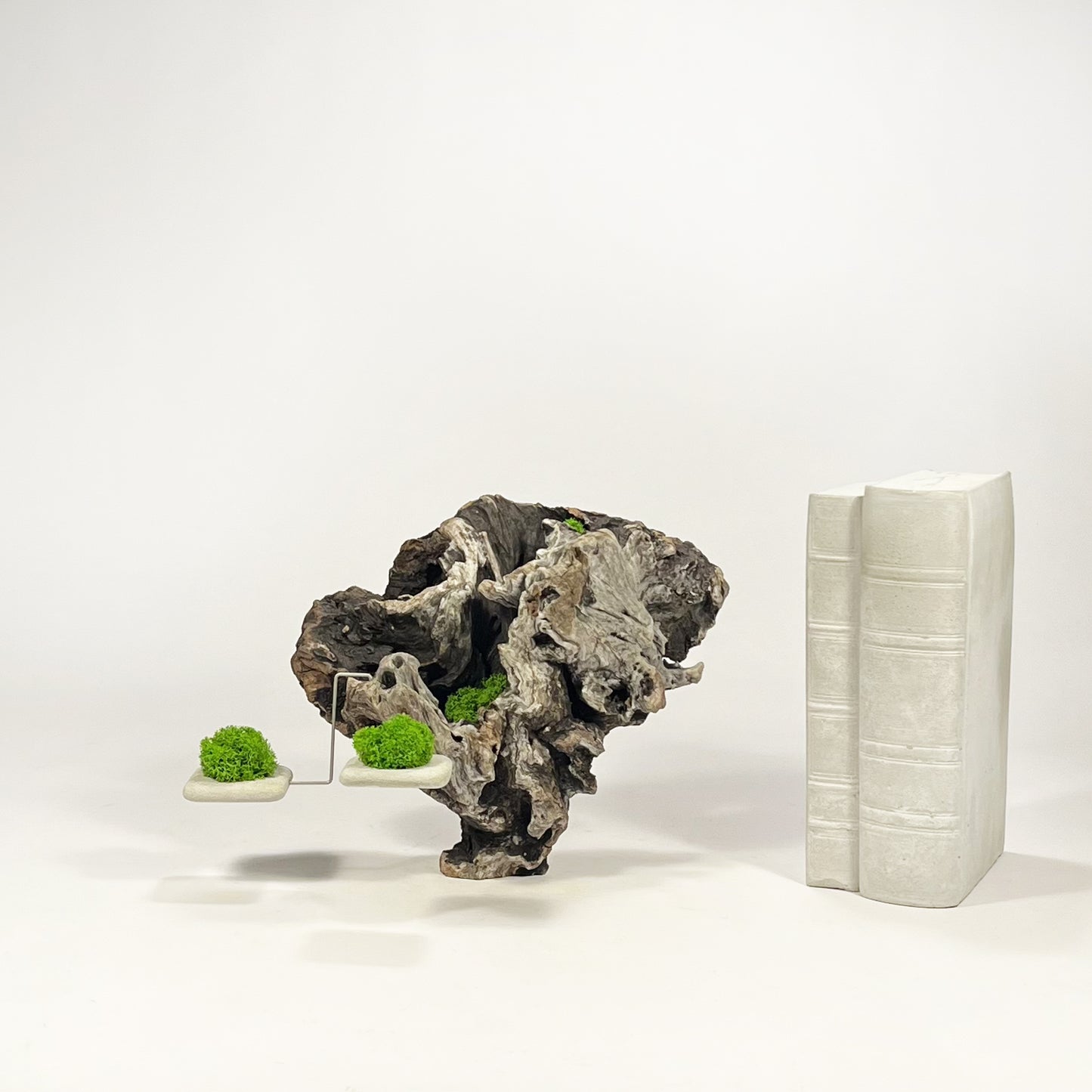 Disequilibrio in Equilibrio