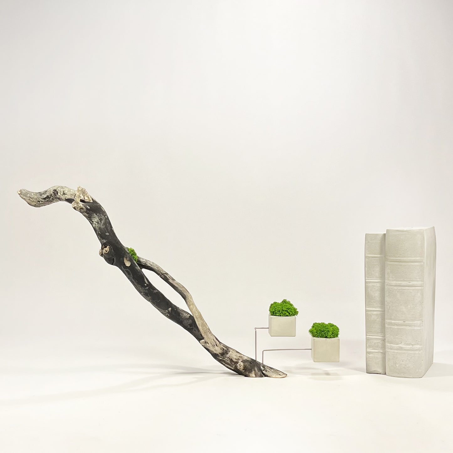 Disequilibrio in Equilibrio