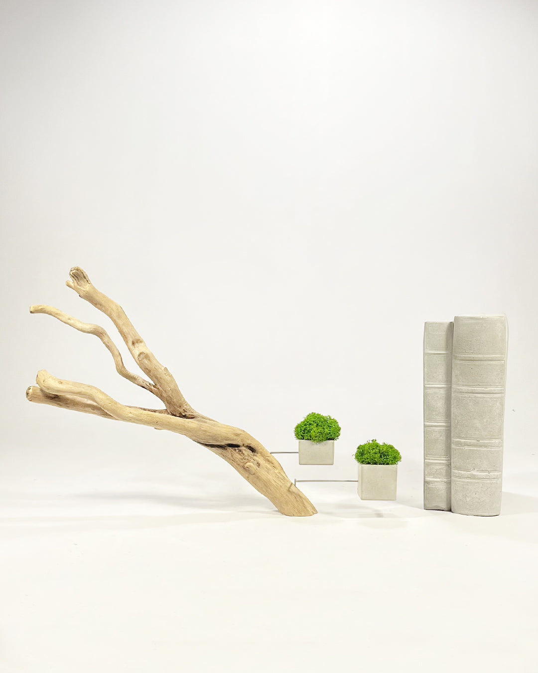 Disequilibrio in Equilibrio