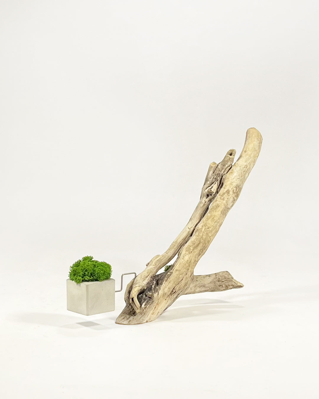 Disequilibrium in Equilibrium 