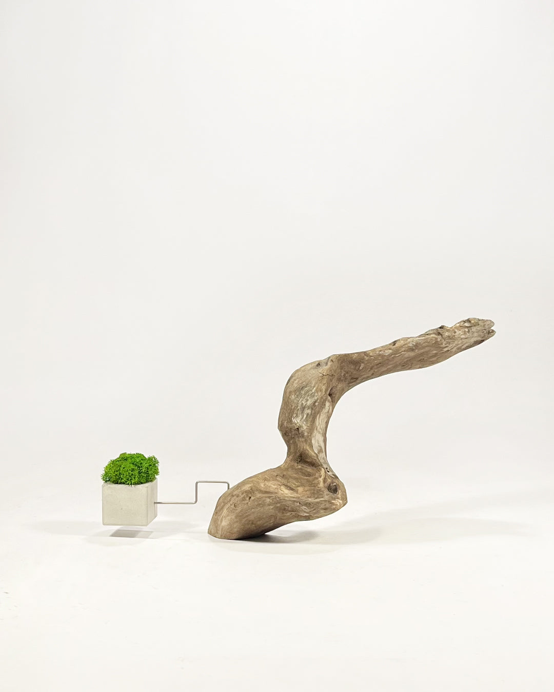 Disequilibrio in Equilibrio