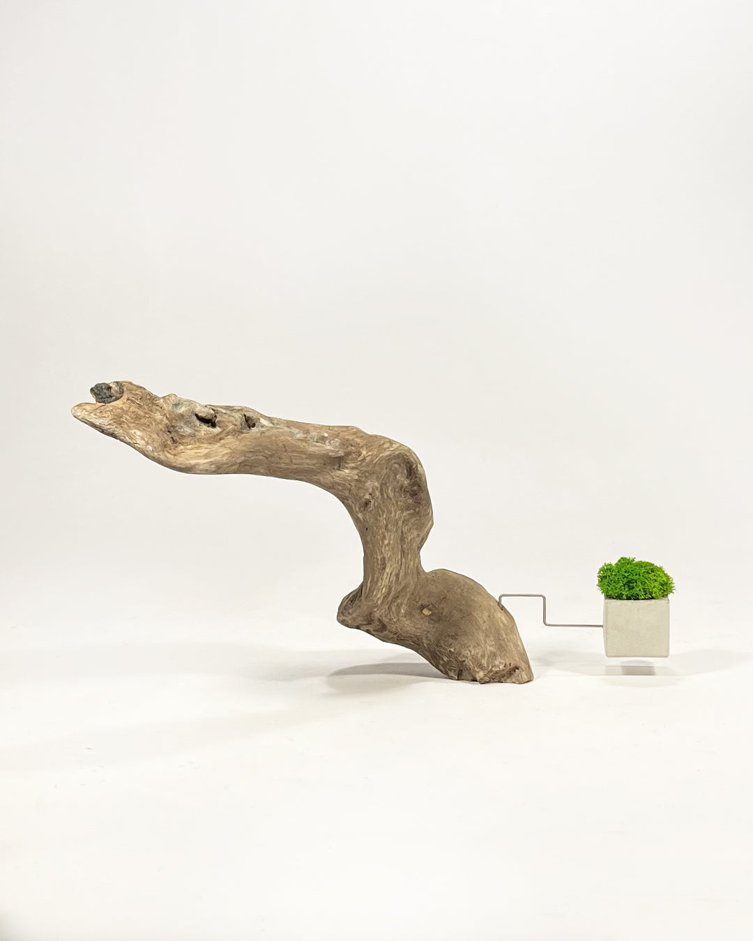 Disequilibrio in Equilibrio