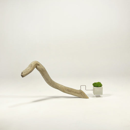 Disequilibrium in Equilibrium 