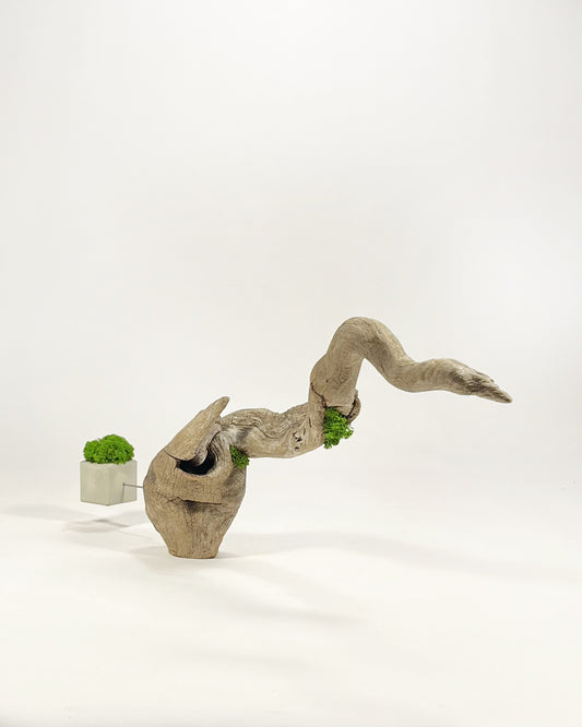 Disequilibrio in Equilibrio