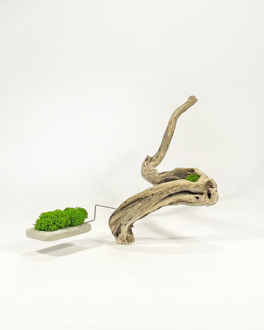 Disequilibrio in Equilibrio