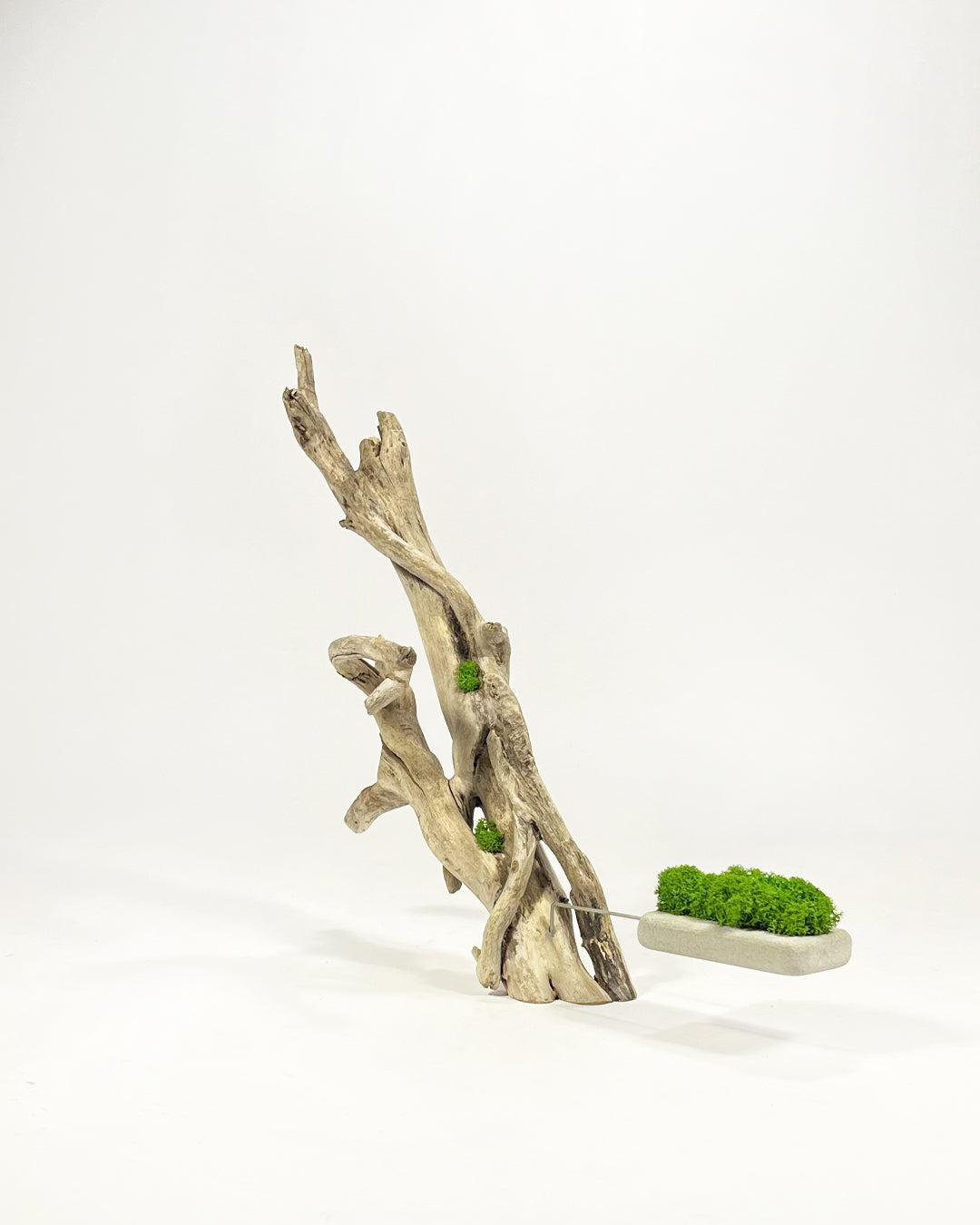 Disequilibrio in Equilibrio