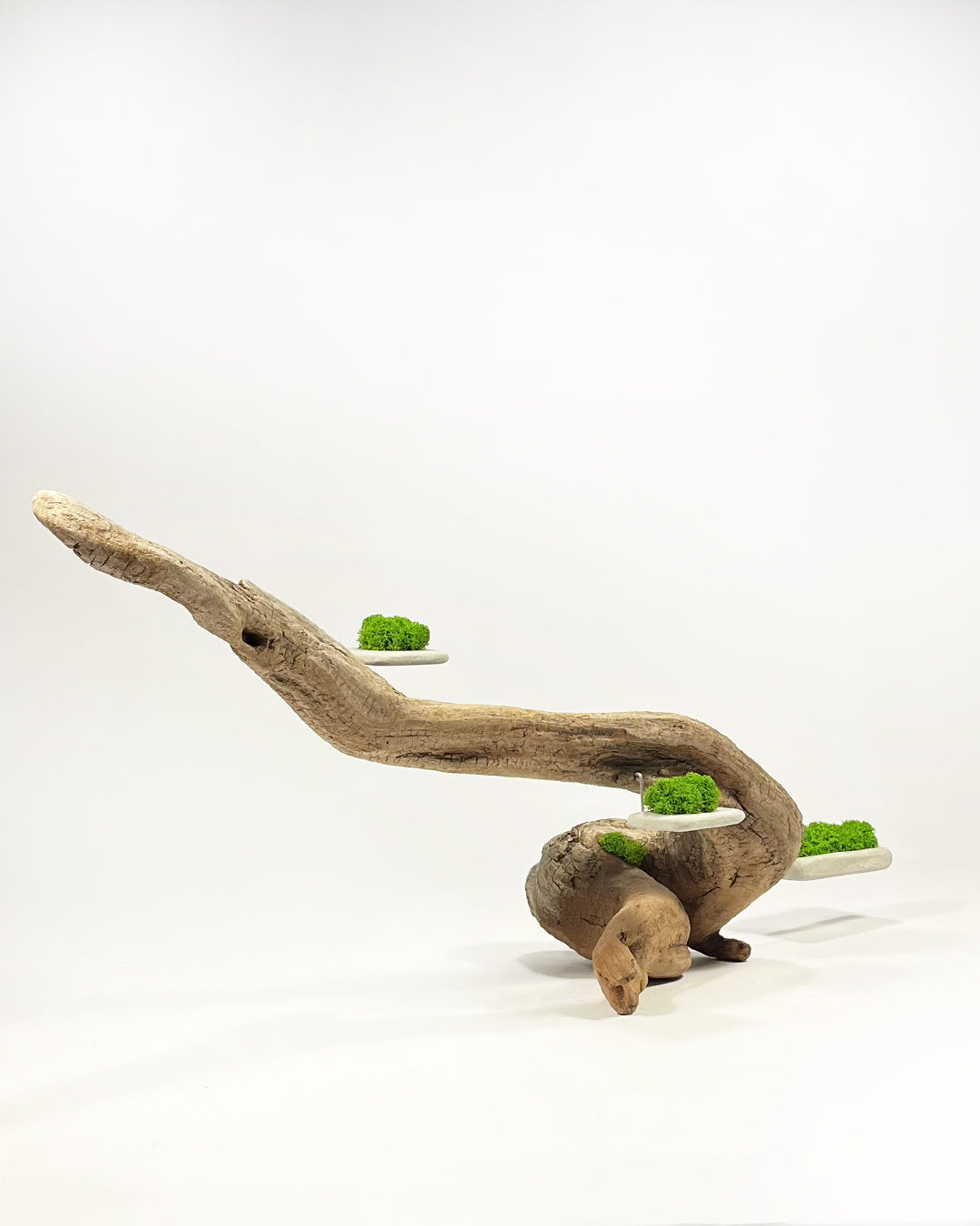 Disequilibrium in Equilibrium 