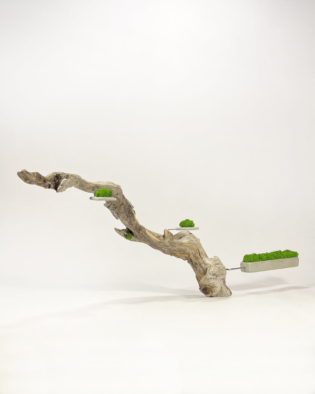 Disequilibrio in Equilibrio