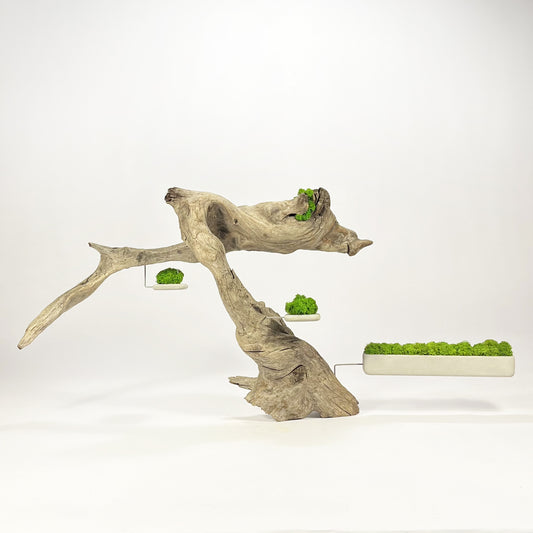 Disequilibrium in Equilibrium