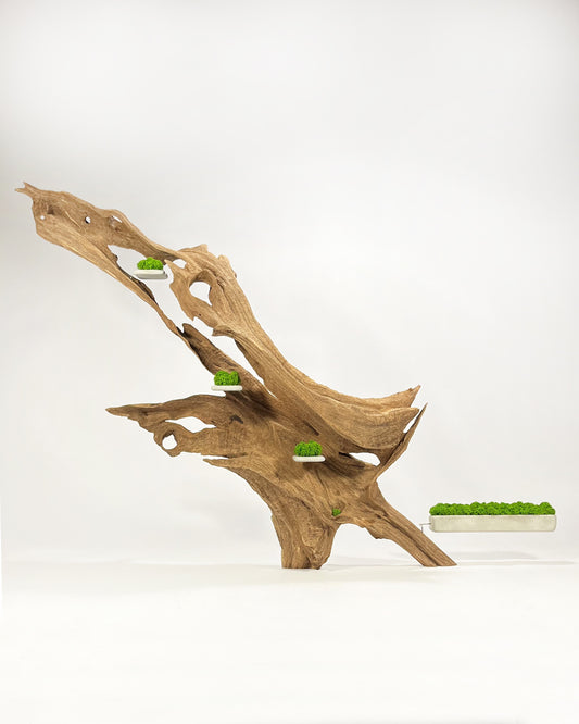 Disequilibrio in Equilibrio