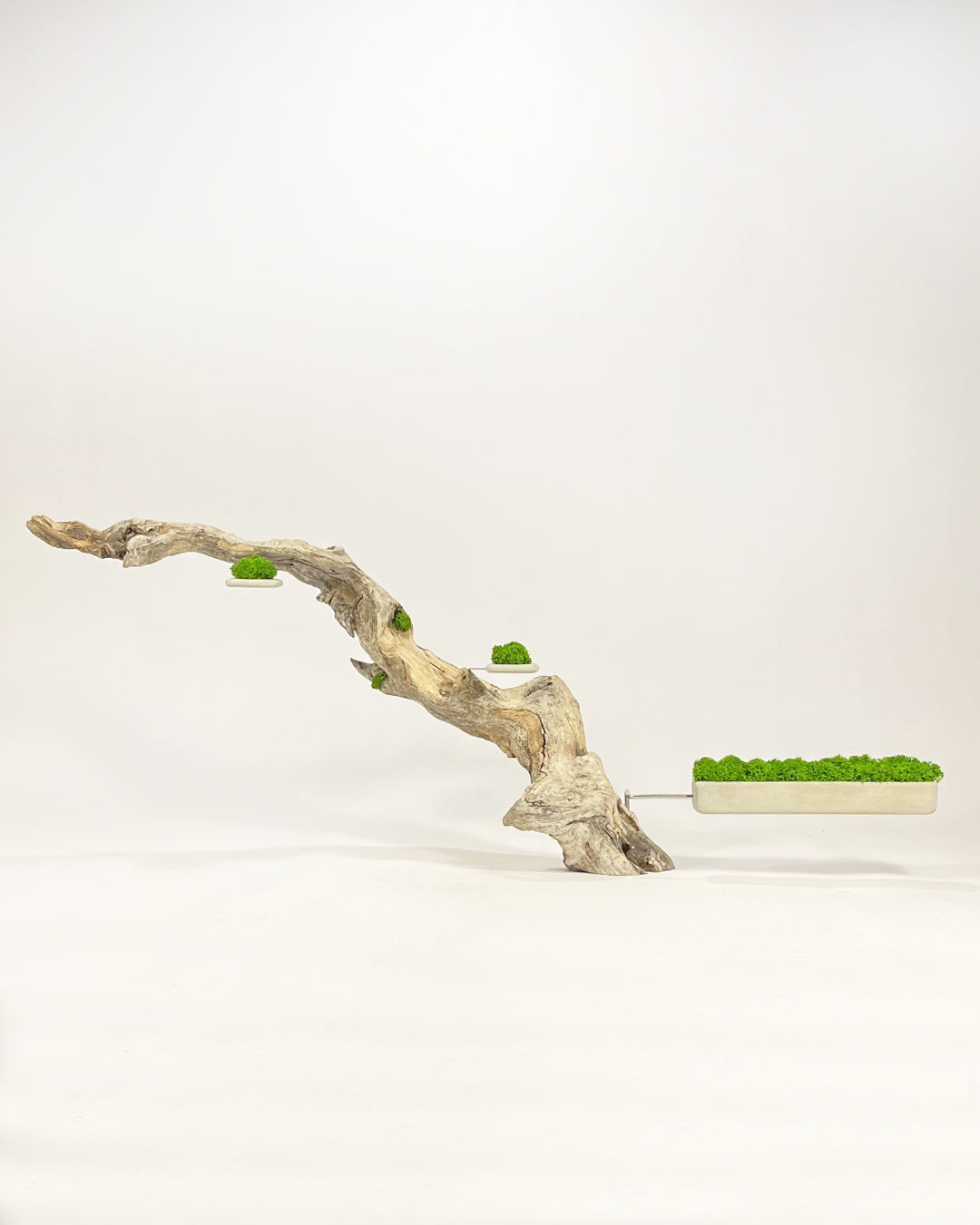 Disequilibrio in Equilibrio