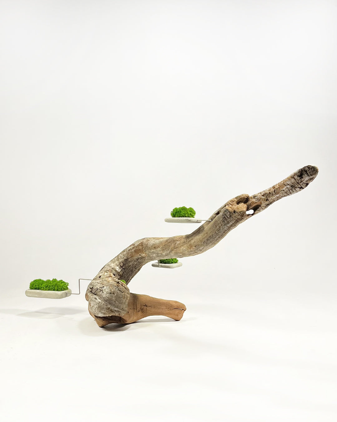 Disequilibrium in Equilibrium 