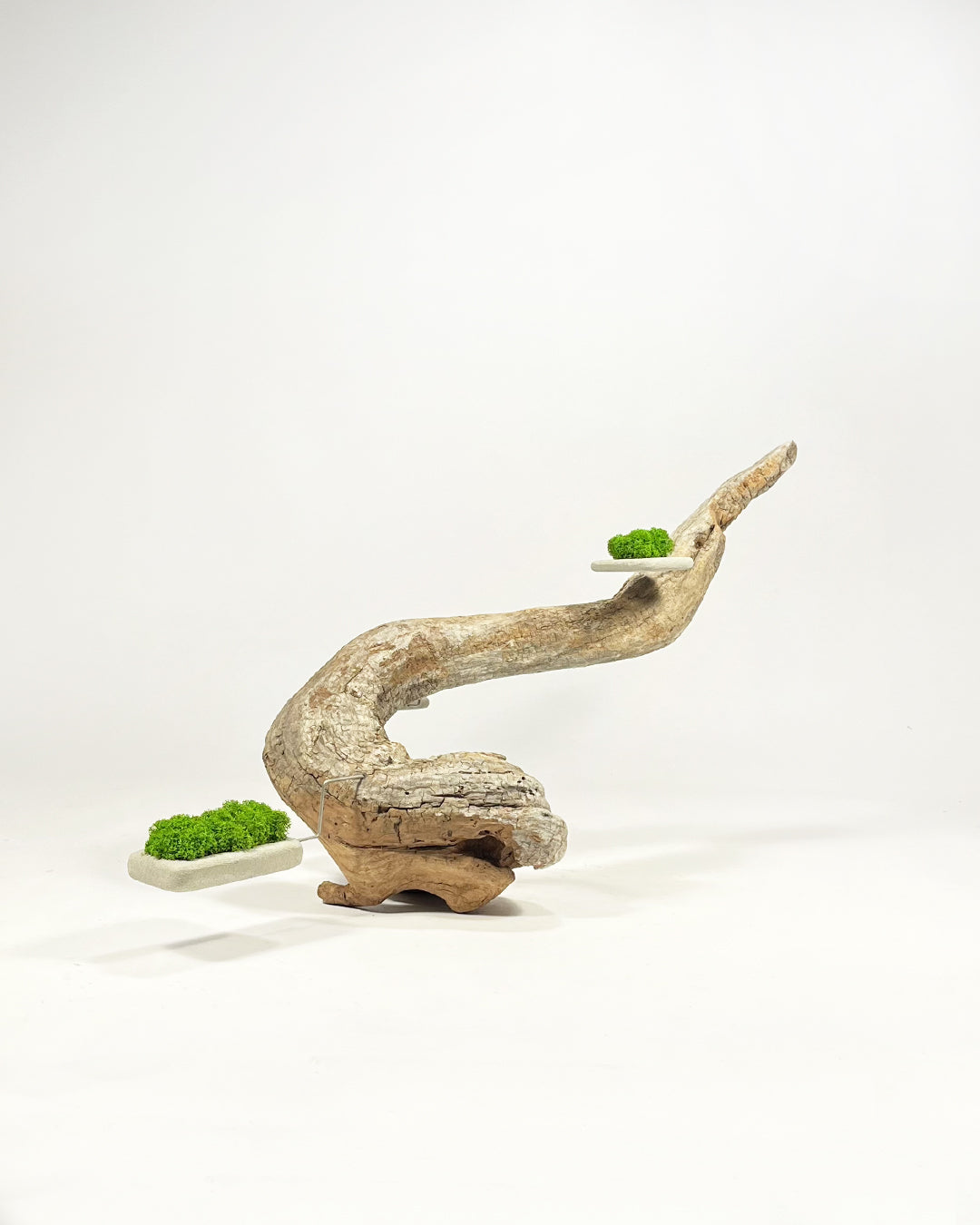Disequilibrium in Equilibrium 