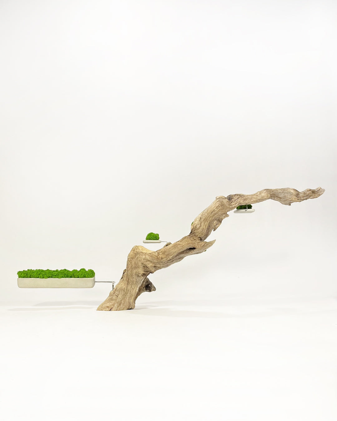 Disequilibrio in Equilibrio