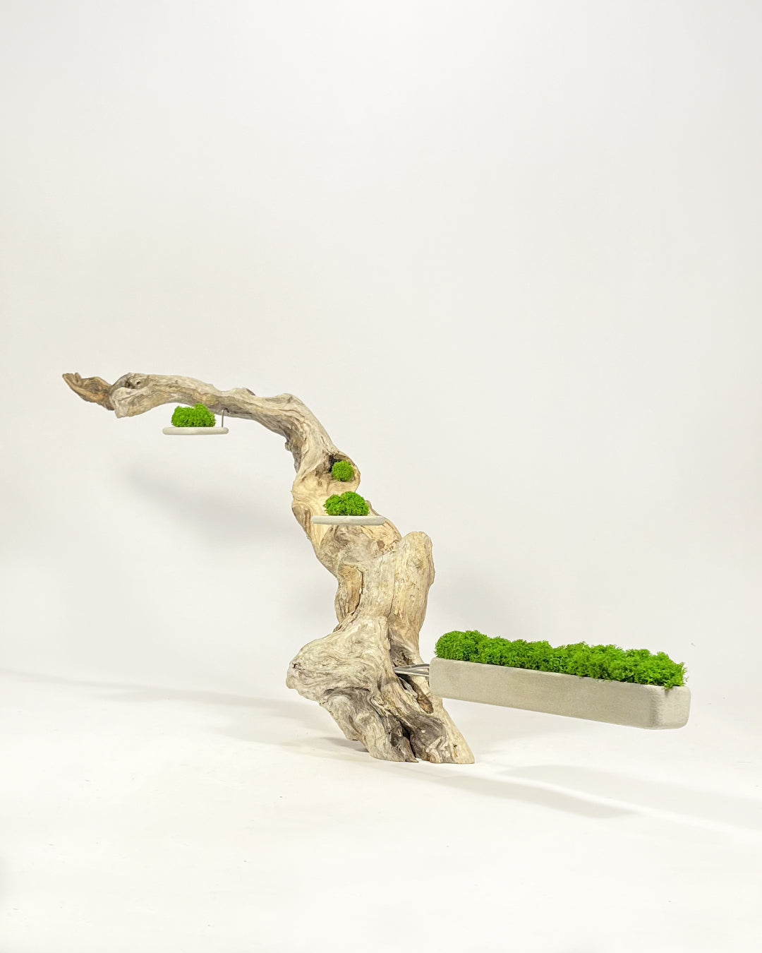 Disequilibrio in Equilibrio