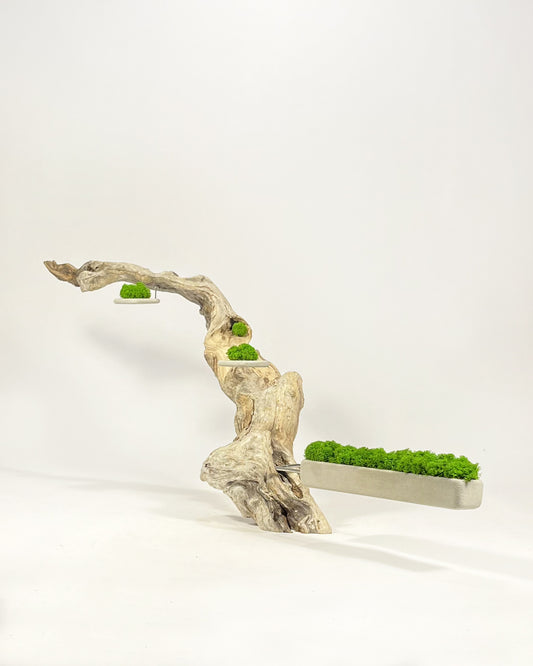 Disequilibrio in Equilibrio