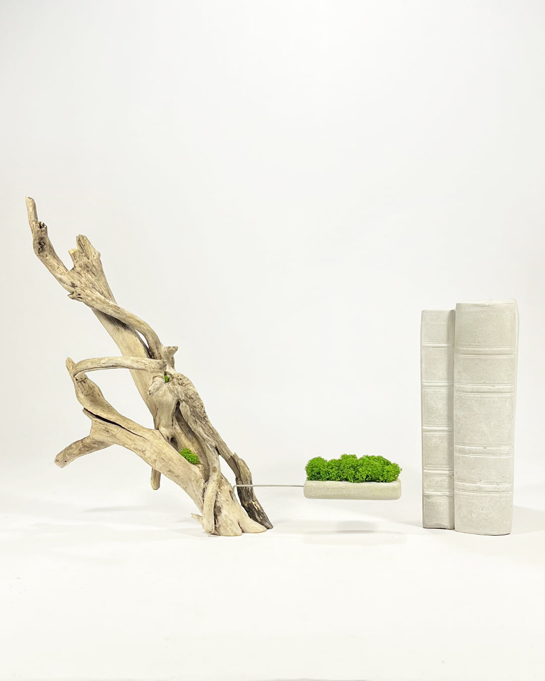 Disequilibrio in Equilibrio