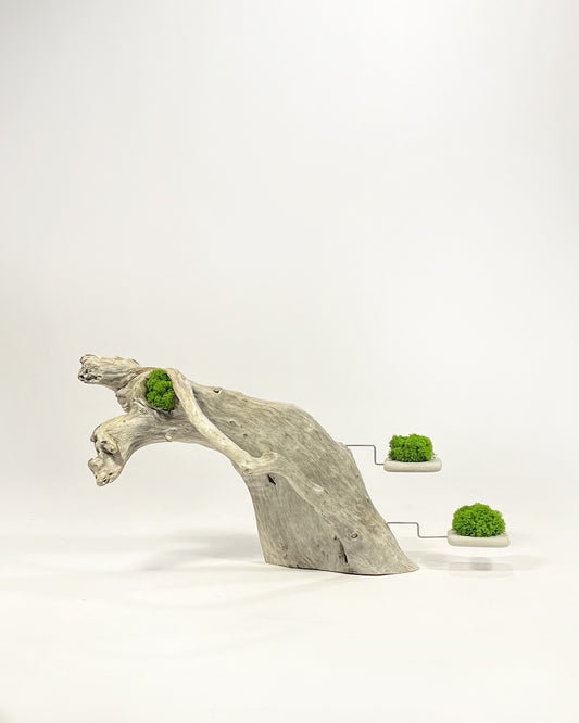 Disequilibrio in Equilibrio