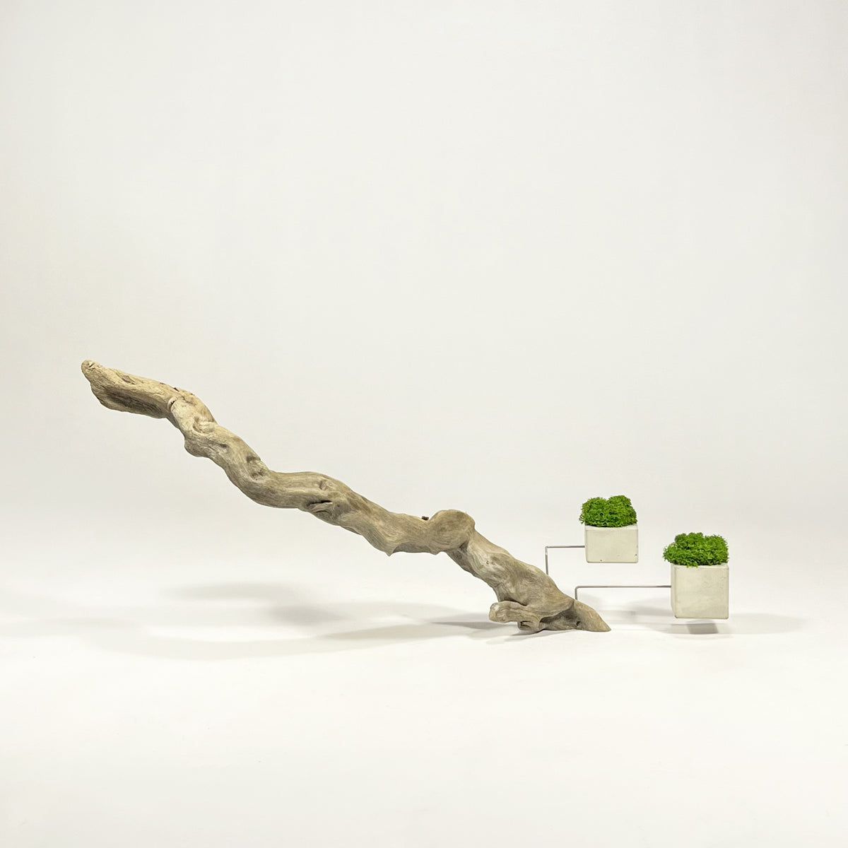 Disequilibrium in Equilibrium 