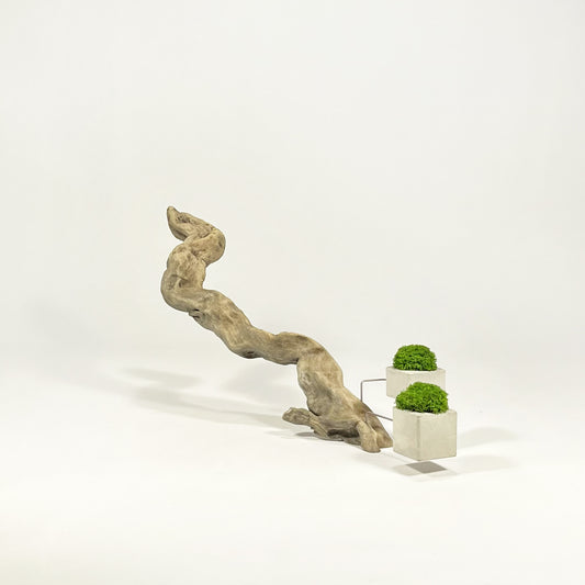 Disequilibrium in Equilibrium 