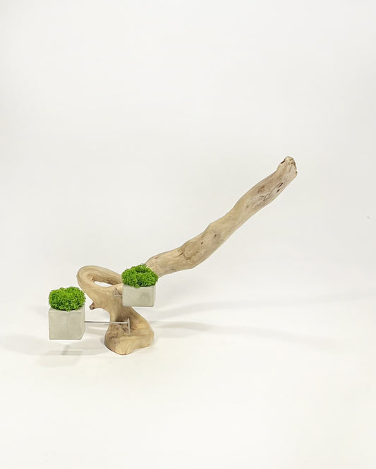 Disequilibrio in Equilibrio