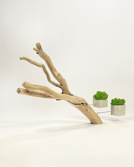 Disequilibrio in Equilibrio