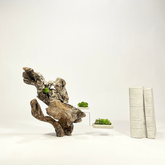Disequilibrio in Equilibrio