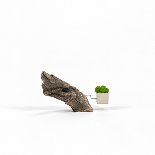 Disequilibrium in Equilibrium 