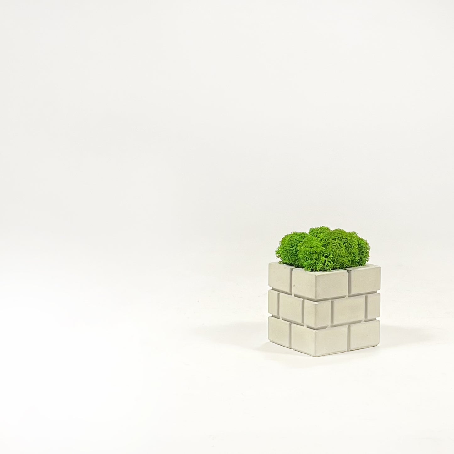 Mario Bros Vaso Muschio