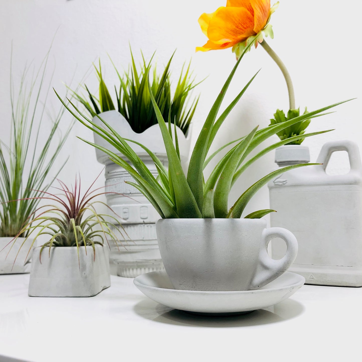 Coffee Cup Vase for Plants and Flowers