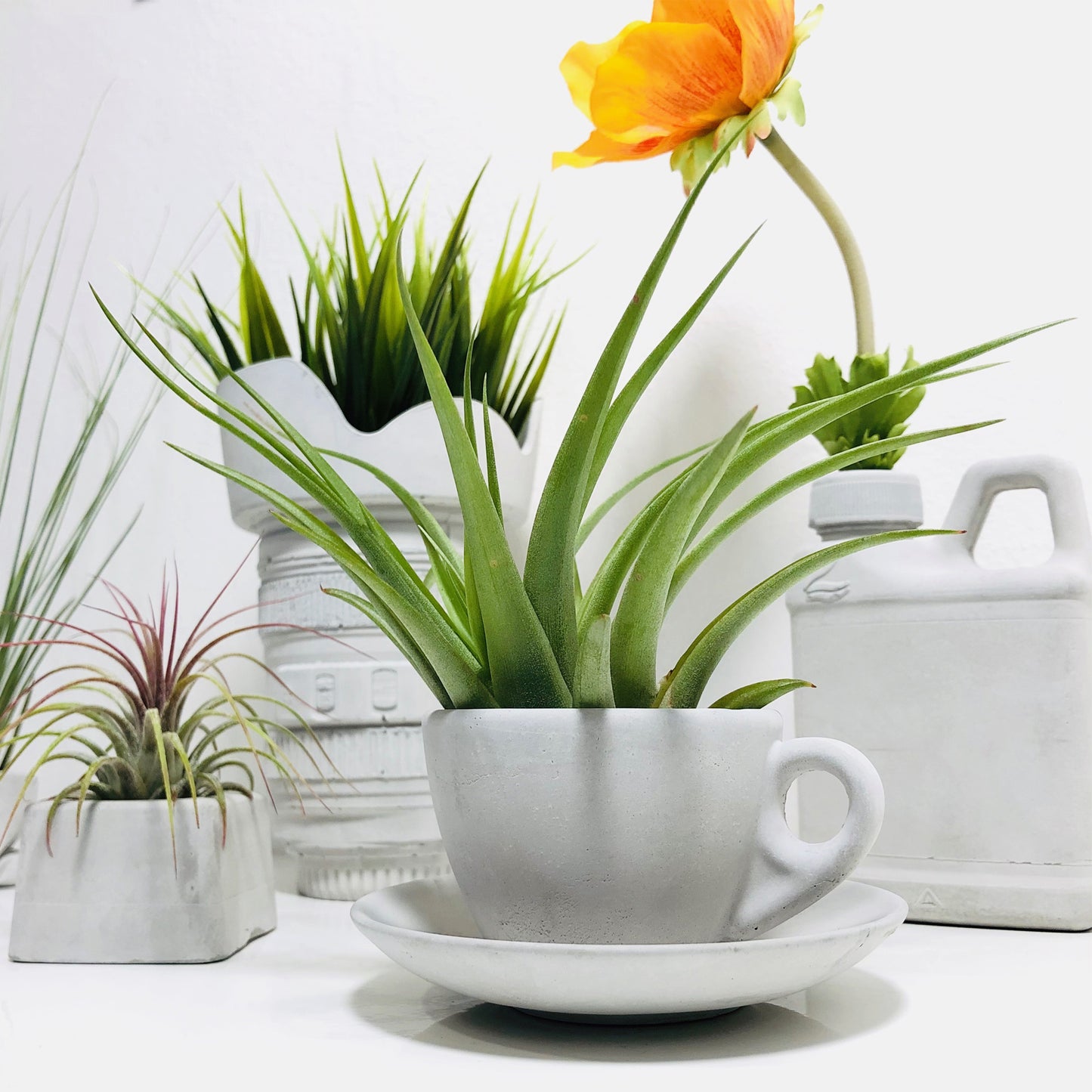 Coffee Cup Vase for Plants and Flowers